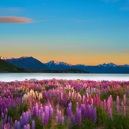 Antler Lodge Lake Tekapo Exterior foto
