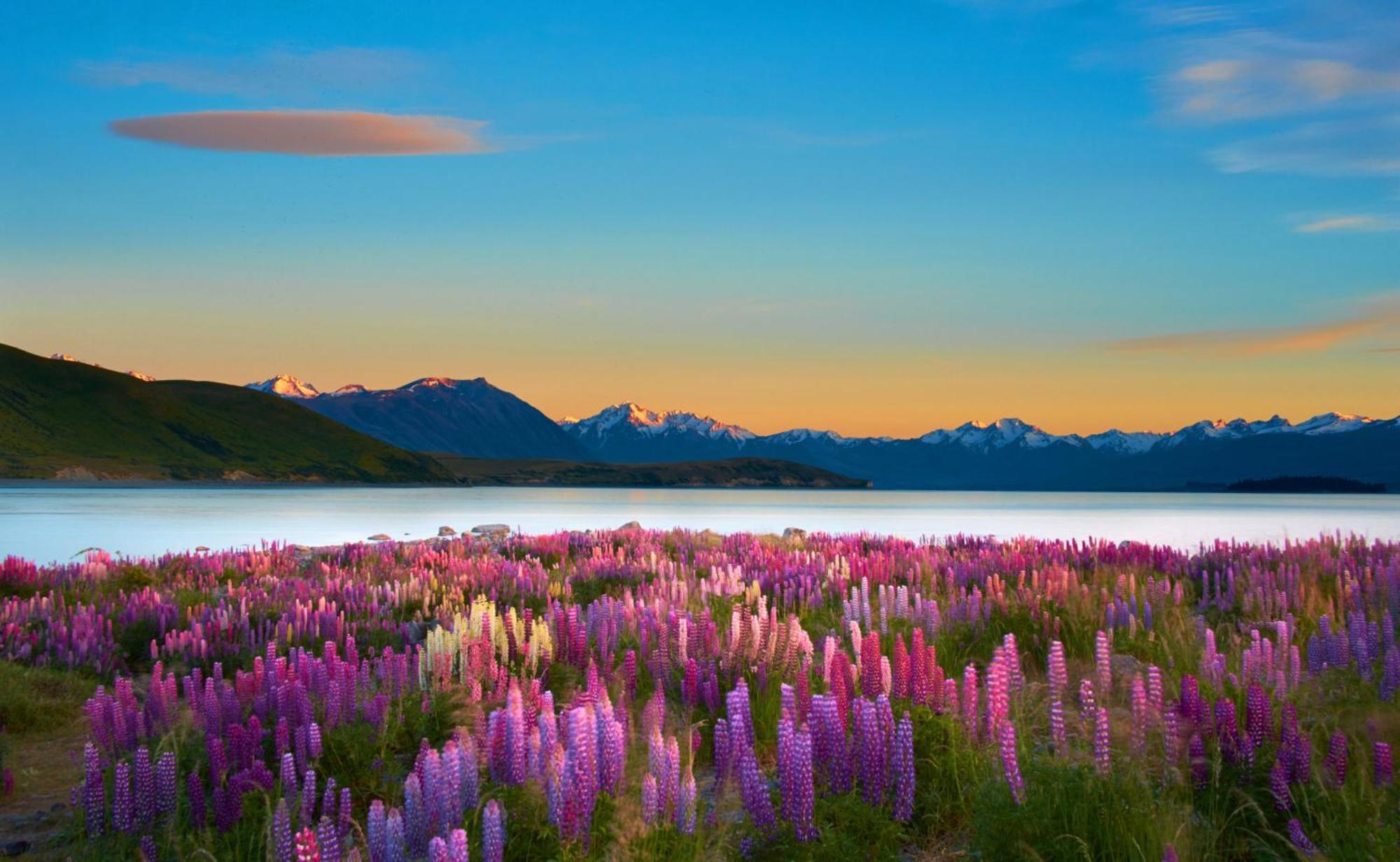 Antler Lodge Lake Tekapo Exterior foto
